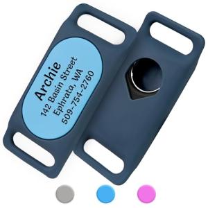 Personalized Dog Collar Holder for Samsung SmartTag2