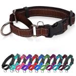 Reflective Adjustable Martingale Dog Collar