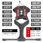 Tactical Vest Harness and Leash for Service Dogs