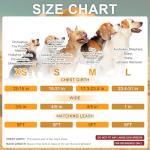 Pink No Pull Dog Harness and Leash Set