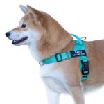 Custom No-Pull Dog Harness with Name and Phone Number