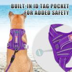 BARKBAY Reflective No Pull Dog Harness - Large