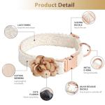 Small Dog Collar and Leash Set with Bow