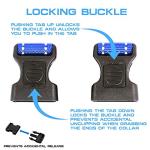 Max and Neo Martingale Collar - Black, Large