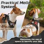 Rabbitgoo XL Tactical Dog Harness - No Pull Training