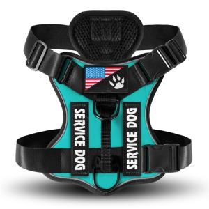 Personalized No-Pull Dog Harness with Custom Patches