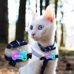 Personalized Engraved Dog Tags with Icons