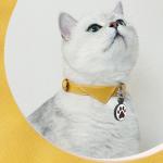 Personalized QR Code Dog Tag with Online Profile