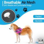 Custom No Pull Dog Harness with Name & Phone Number