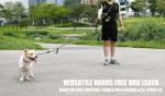 Hands-Free Bungee Dog Leash with Padded Handles