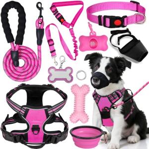 Adjustable No Pull Dog Harness and Leash Set