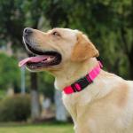 Waterproof Rubber Dog Collar with Quick Release Buckle