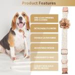 Small Dog Collar and Leash Set with Bow