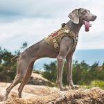 OneTigris Tactical Dog Training No Pull Harness