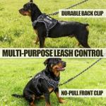 Tactical Vest Harness and Leash for Service Dogs