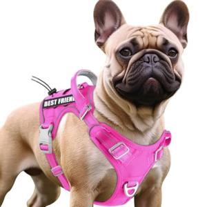 BARKBAY Tactical Dog Harness with Personalized Tags