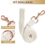 Small Dog Collar and Leash Set with Bow