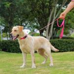 Waterproof Rubber Dog Collar with Quick Release Buckle