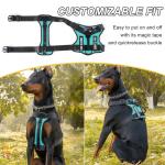 Personalized No-Pull Dog Harness with Custom Patches