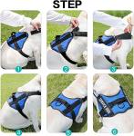 Moonpet Custom No Pull Dog Harness and Leash Set
