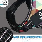 Custom No Pull Dog Harness with Name and Number