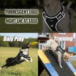 Tactical Vest Harness and Leash for Service Dogs