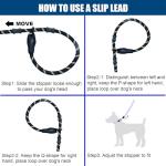 Hands-Free Bungee Dog Leash with Padded Handles