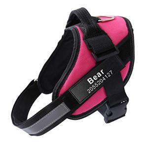 Custom No Pull Dog Harness with Name & Phone Tag