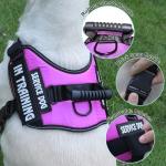 Personalized No-Pull Service Dog Vest with Patches