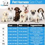 Custom No Pull Dog Harness with Name and Number