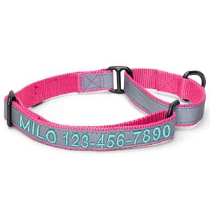Personalized Reflective Dog Collar - Pink