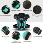 Personalized No-Pull Dog Harness with Custom Patches