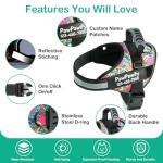 Custom No-Pull Dog Harness with Name & Phone Number
