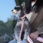 Stylish Pink PU Leather Dog Collar and Leash Set