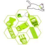 Puppy Paw Print Collar and Leash Set