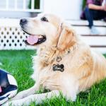 Personalized Engraved Dog Tags with Icons