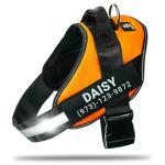 Personalized Reflective No-Pull Dog Harness - Orange