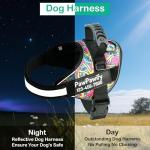 Custom No-Pull Dog Harness with Name & Phone Number