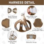 GAMUDA Soft Mesh Pet Harness and Leash Set