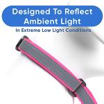 Personalized Reflective Dog Collar - Pink