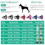 Custom No-Pull Dog Harness with Name & Phone Number