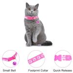 Puppy Paw Print Collar and Leash Set