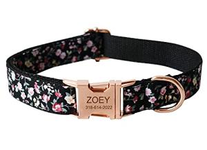 Personalized Dog Collar with Engraved Name and Number