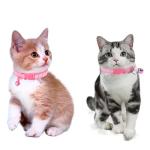 Puppy Paw Print Collar and Leash Set