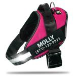Personalized No-Pull Dog Harness with Name Patch