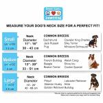 Personalized Reflective Dog Collar - Pink