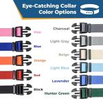 Personalized Dog Collar with Engraved ID Tag