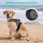 Custom No-Pull Dog Harness with Name & Phone Number