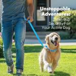 Waterproof Adjustable Dog Collar and Leash Set