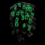 Silicone Dog Tag Silencers - Glow in the Dark